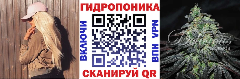 Шишки марихуана марихуана Слюдянка